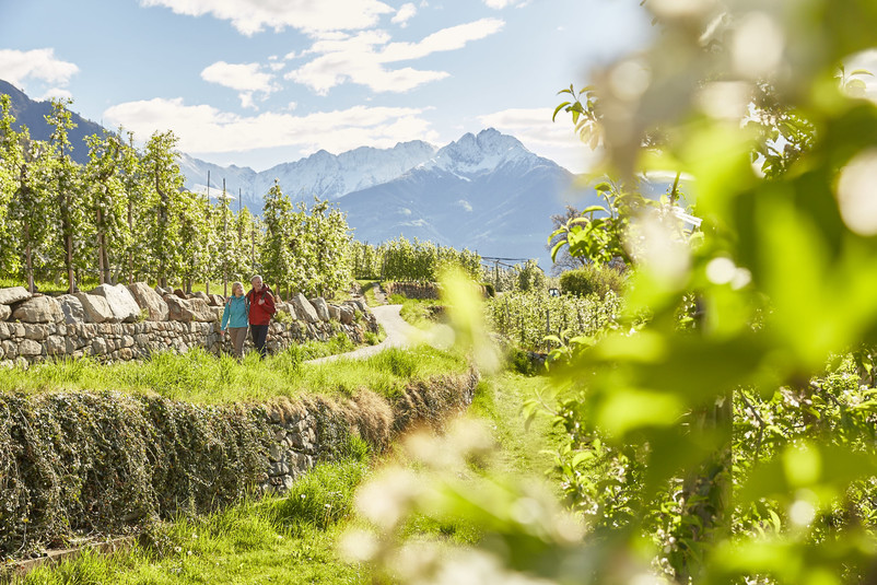 IDM Südtirol: ©Stefan Schütz